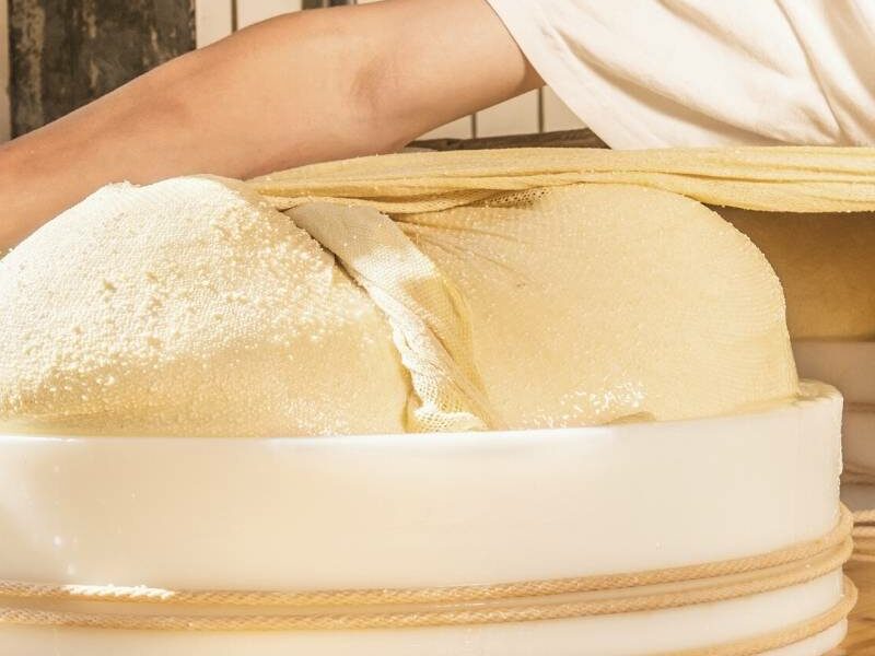 Nuovo corso di trasformazione lattiero-casearia: un’opportunità per la crescita delle filiere locali