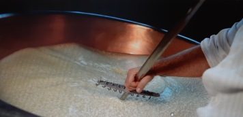 Proroga Iscrizioni al Corso Produzione e stagionatura di formaggi vaccini