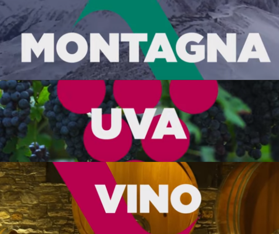 È nato il Consorzio Vini Valle d’Aosta