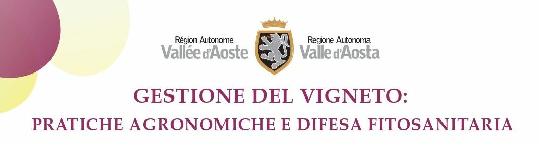Gestione del vigneto: pratiche agronomiche e difesa fitosanitaria