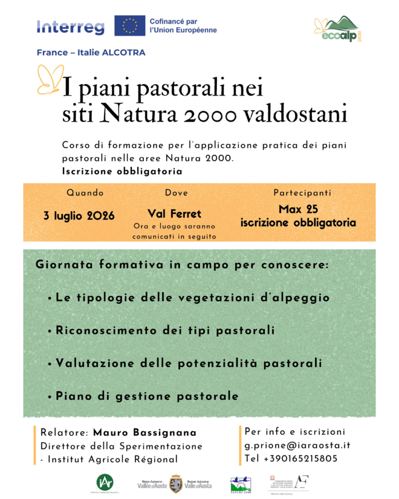 Progetto senza titolo (54)
